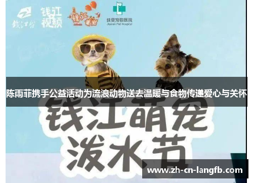 陈雨菲携手公益活动为流浪动物送去温暖与食物传递爱心与关怀
