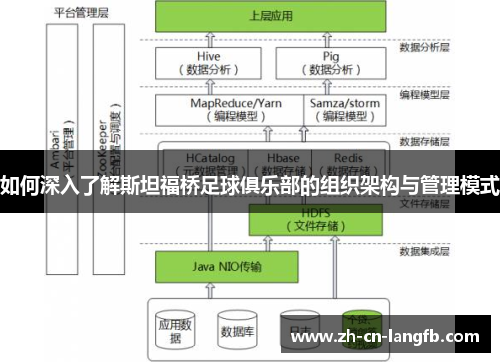 如何深入了解斯坦福桥足球俱乐部的组织架构与管理模式