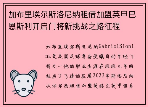 加布里埃尔斯洛尼纳租借加盟英甲巴恩斯利开启门将新挑战之路征程